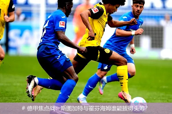 12月21日, 德甲焦点战：斯图加特与霍芬海姆谁能拔得头筹？