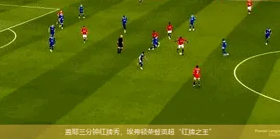 11月26日,盖耶三分钟红牌秀，埃弗顿荣登英超“红牌之王”